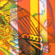 Illustration for article titled A personal, firsthand account of Neutral Milk Hotel’s debut single